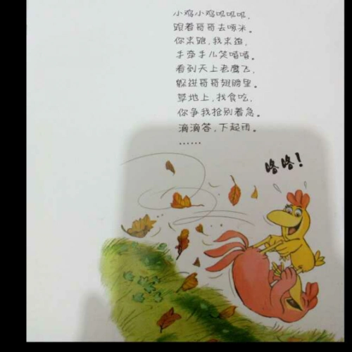 小鸡歌