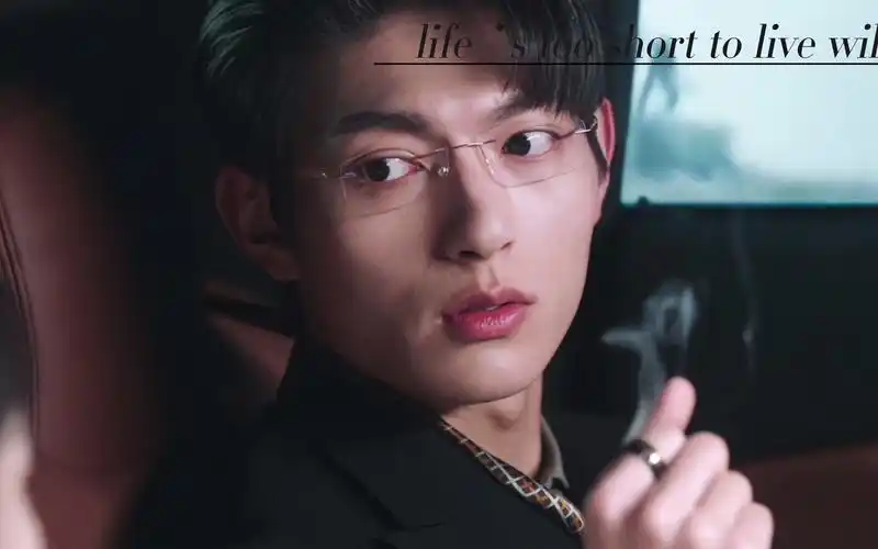 【从 此 小 说 男 主 有 了 脸】樊治欣