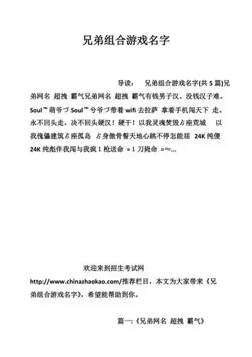 兄弟组合游戏名字