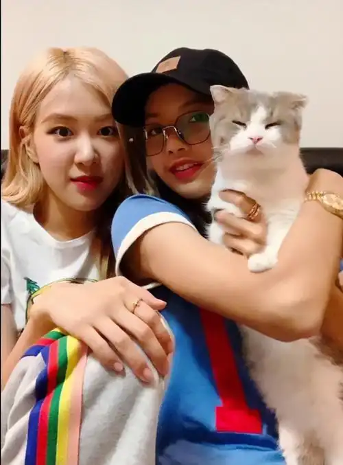 blackpink rose 朴彩英 lisa