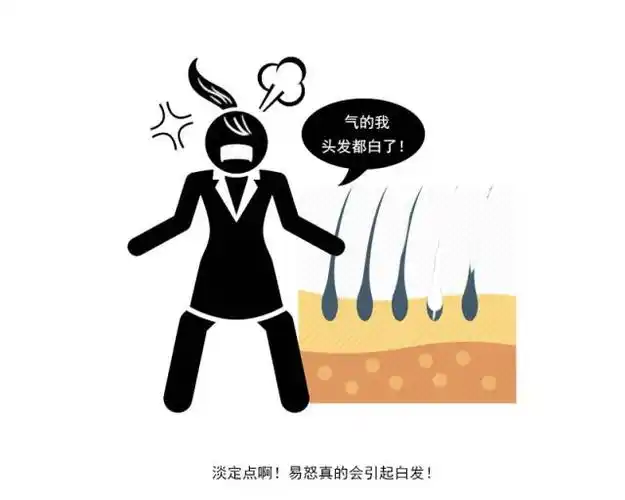 白发真的会"拔一根长十根"?其实真相是这样的!