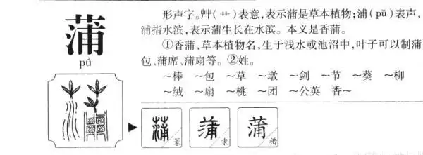 蒲,蒲的拼音,笔顺,意思解释,英文,五行属性,部首,结构