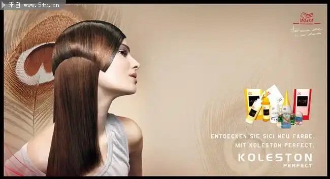 威娜时尚发型图片美发海报模板