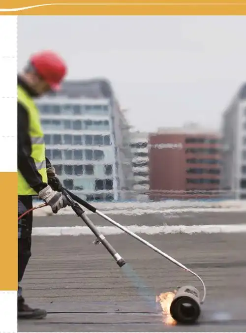 (现货速发 )法国防水喷火枪进口猛虎喷枪防水专用猛龙喷枪液化气喷火