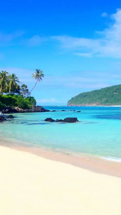 海滩,棕榈树,岛屿,蓝色的大海