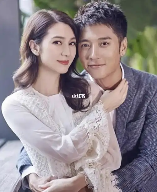 只有我分不清洪欣和袁咏仪吗太像了吧