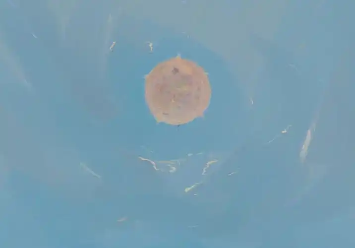 有什么壁纸能让 ipad 横屏和竖屏都合适? - 知乎