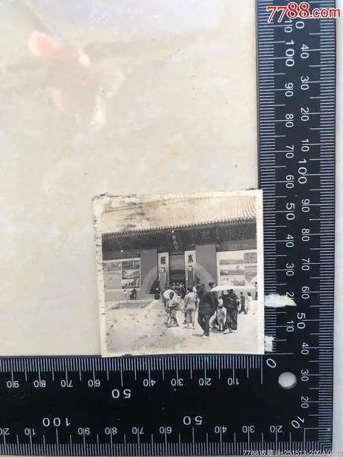 民国以稀少题材老照片_民国旧物收藏【7788商城__七七八八商品交易