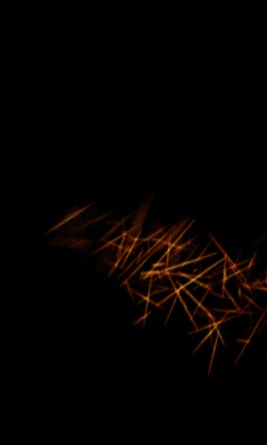 纽曼数码手机m10【天涯分享〖240×400〗动态图片