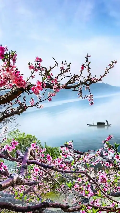 两岸桃花春色里,一叶扁舟画中游; 我自逍遥天地间, 浪尽一生无忧愁.