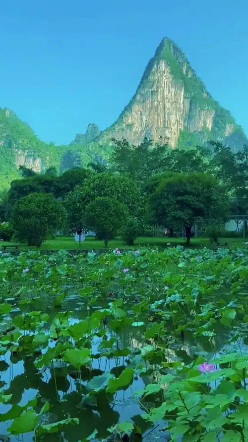 旅游进行时#青山绿水美景如画好美啊!你喜欢吗?