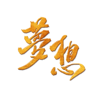 梦想 i>烫 /i> i>金 /i> i>字 /i>