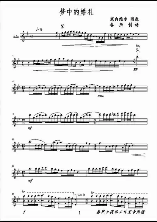 梦中的婚礼小提琴版