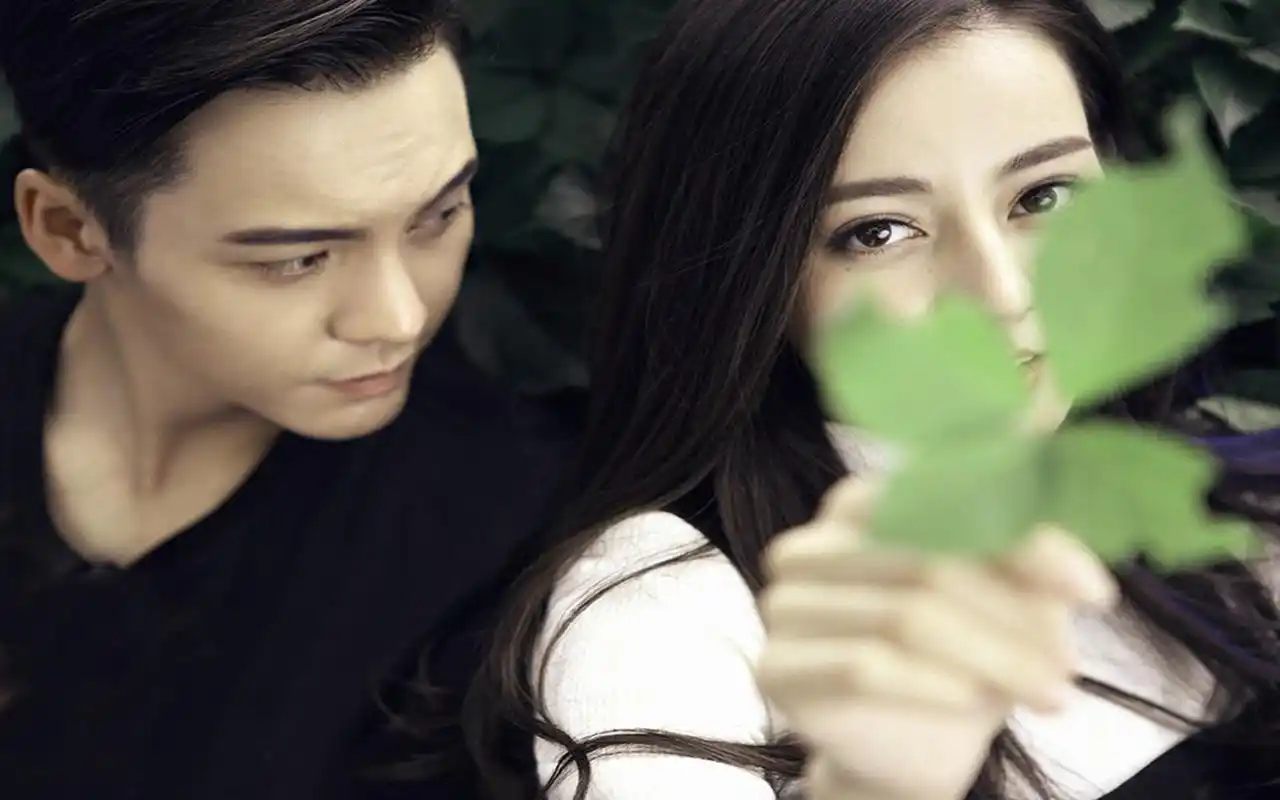 迪丽热巴与陈伟霆写真电脑桌面壁纸下载