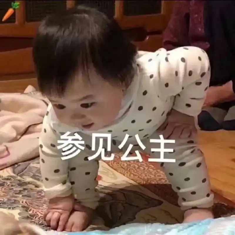 你说参见公主.#黄夏温 #哈温表情包 #分享照片 #人类幼崽 - 抖音