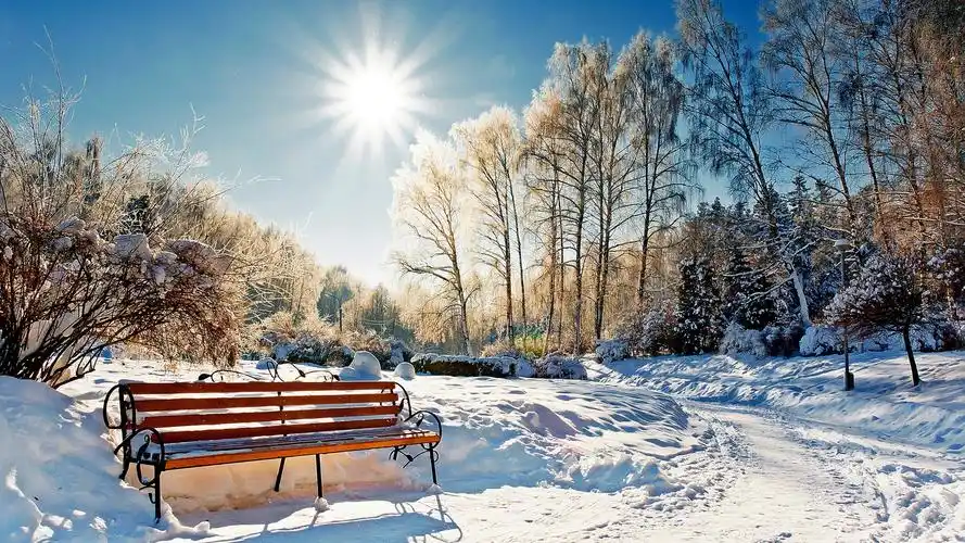冬天雪中美景唯美意境高清图片合集电脑桌面壁纸下载第一辑