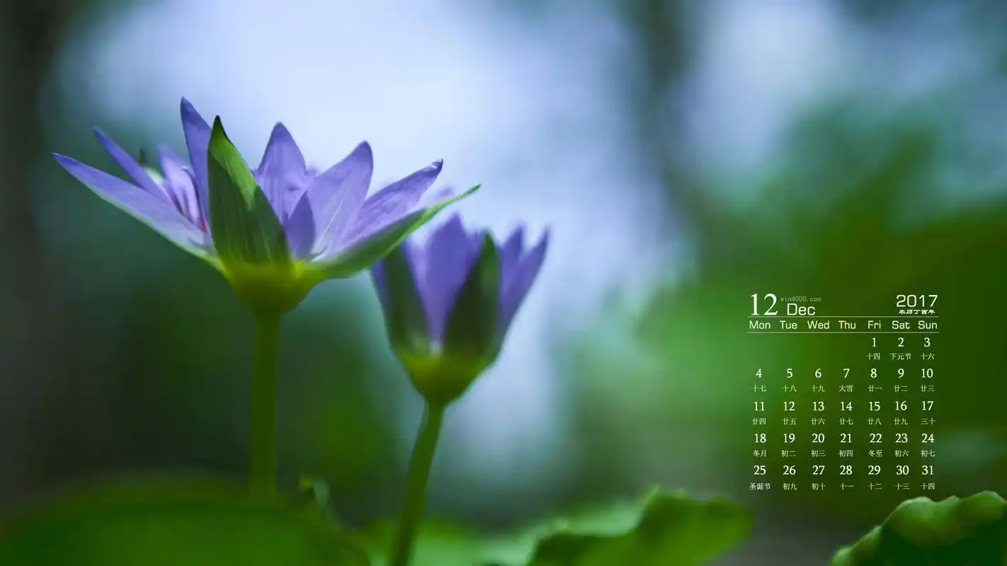 2017年12月绿色护眼植物高清日历图片壁纸