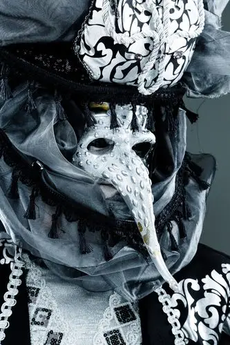 威尼斯人,狂欢,蒙面,男人,头像,漂亮,黑色,白色