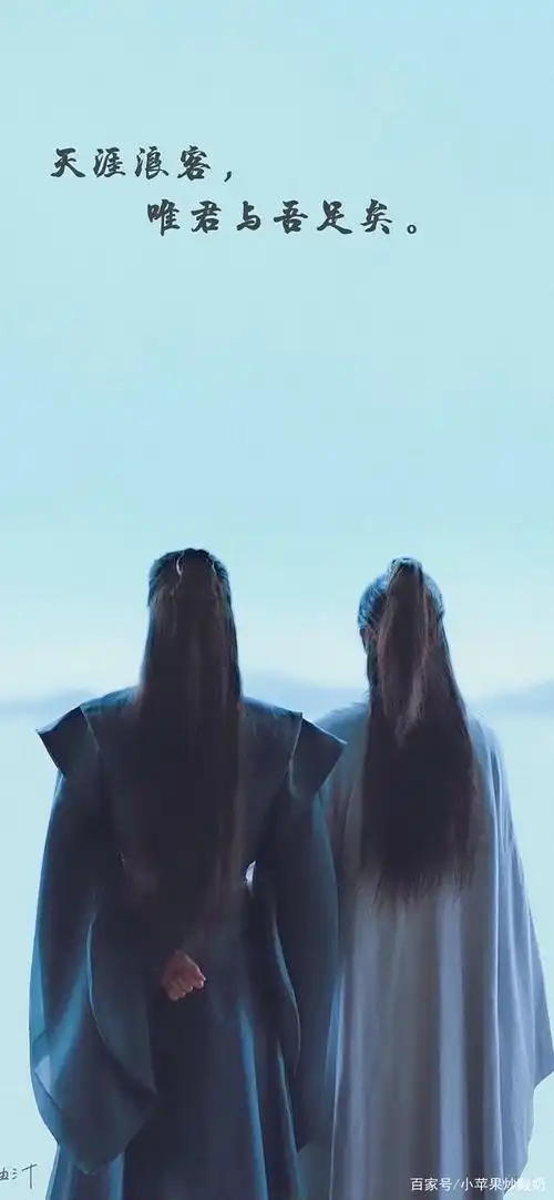 山河令张哲瀚龚俊壁纸,网友:天窗之主和鬼谷谷主真般配!