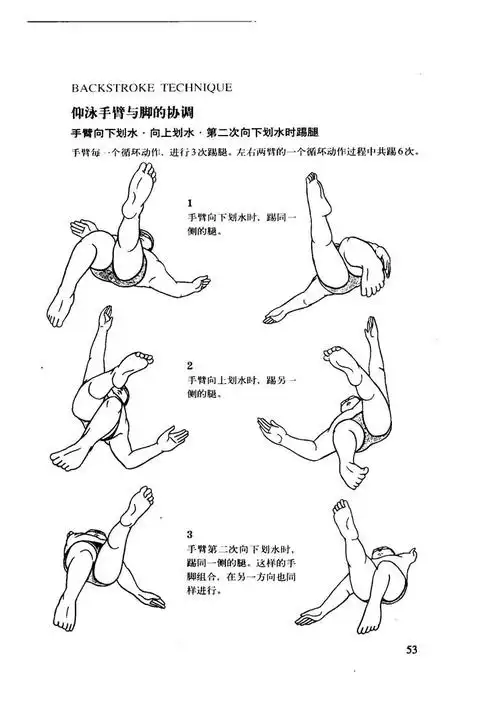 所有游泳技巧图解介绍,全部游泳技巧图解