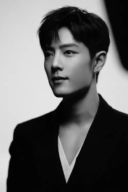 肖战黑白简约质感大片