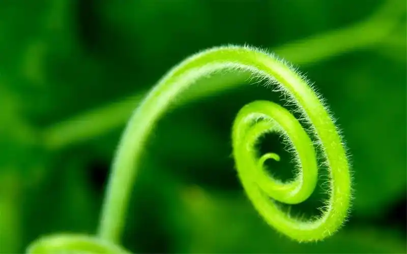 小清新清爽简洁电脑桌面壁纸