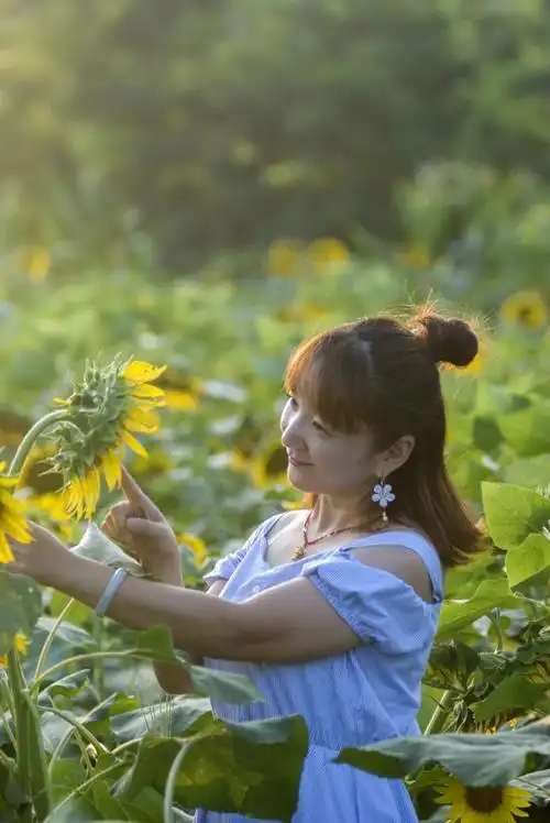 阳光下微笑的向日葵