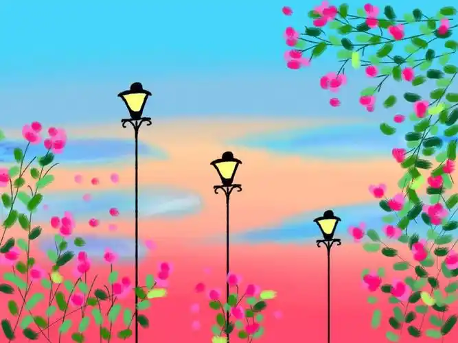 夏天傍晚花海和你