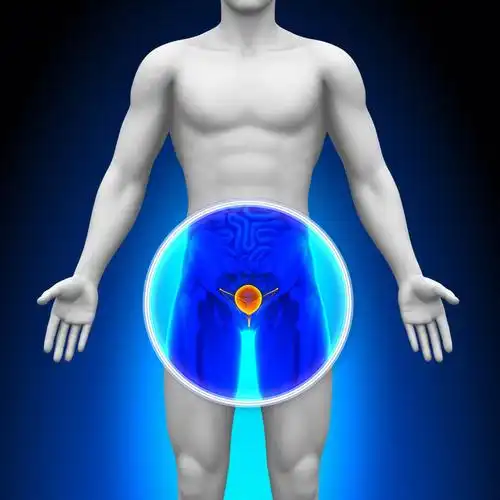 男性睾丸要保养,需注意几个要领呢?