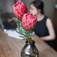 安静淡然的女生头像 安详淡定的女生头像_微信头像图片大全