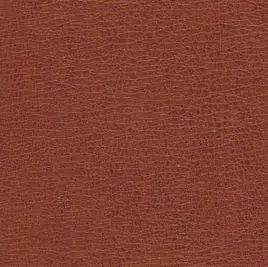 "褐色","咖啡色","棕色"有什么区别?有图片吗?