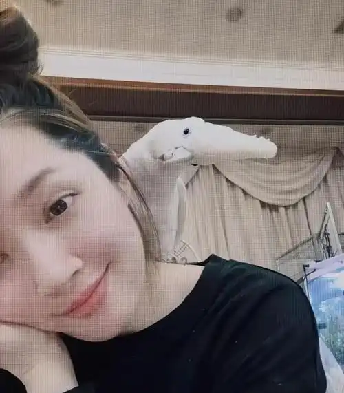 郭碧婷时隔19天露面,半夜两点晒照试水复出,圆润脸颊贵气十足