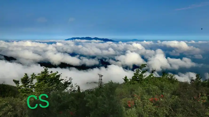 竹韵禅风,绿色宜丰