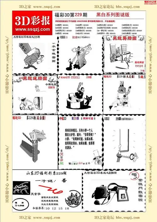 3d229期黑白系列图谜版
