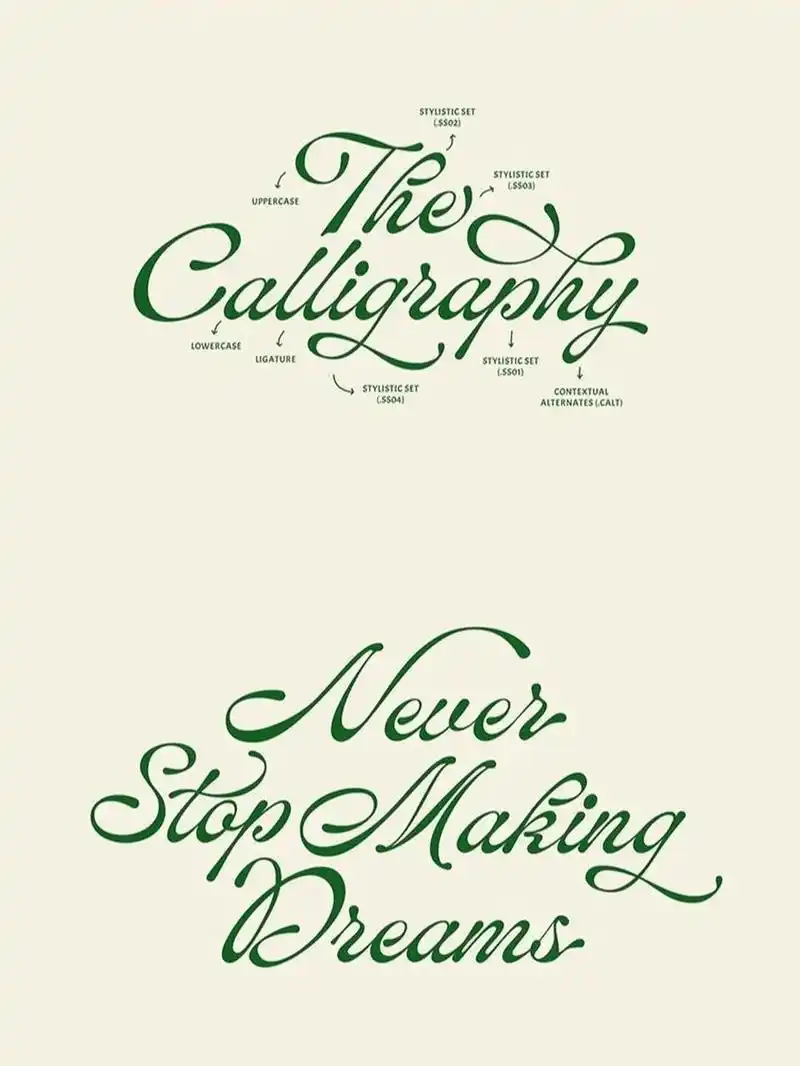 🌵本期分享|优雅艺术风手写英文字体 🌷优雅复古的手写体英文,带