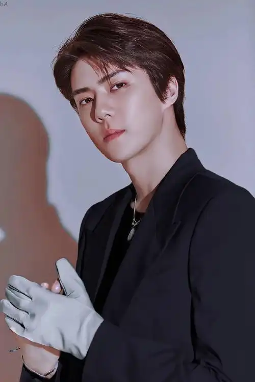 下面请欣赏吴世勋粉丝优秀作品(帽还不来.