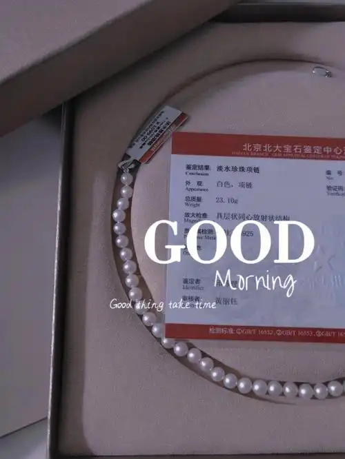 choker珍珠项链京润珍珠你真的有点东西
