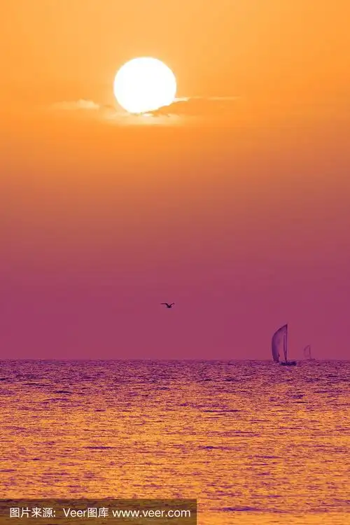 海面上的日落,海鸥飞过,帆船驶过