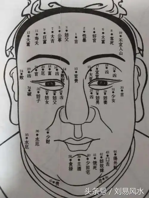 麻衣神相痣图解女,面痣男,面痣女详解 - 网络编辑之家