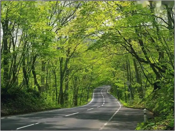 静心美景舒心欣赏