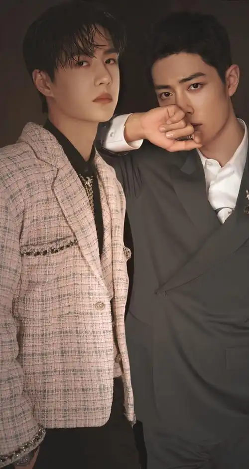 手机桌面壁纸博君一肖