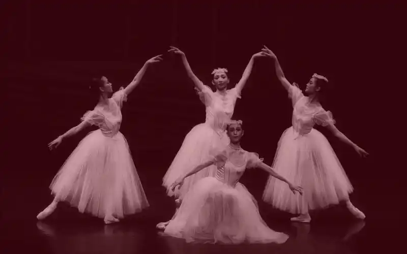 【芭蕾】《古典女子四人舞》张剑,朱妍,王启敏,孟宁宁_哔哩哔哩_bili