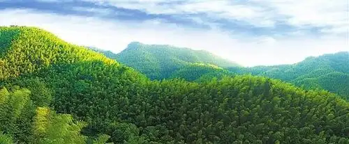 「赣州蝶变」筑牢生态屏障 加快绿色崛起——赣南苏区振兴发展7周年