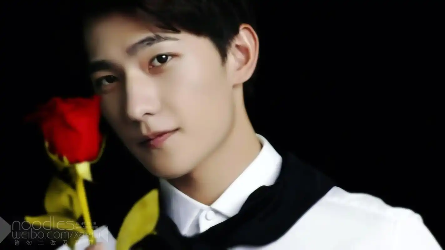 图片电脑桌面壁纸下载2高清大图预览1920x1080_大陆明星下载_美桌网