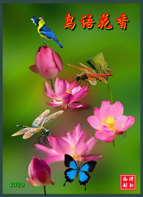 500_689竖版 竖屏gif 动态图 动图