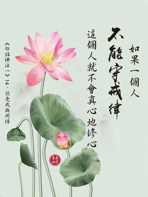 最新版佛言佛语图片欣赏不要错过711