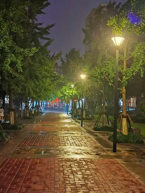 《雨后五光十色的夜景》