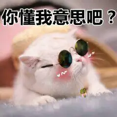 你明白我意思吧表情包 - 你明白我意思吧微信表情包 - 你明白我意思吧