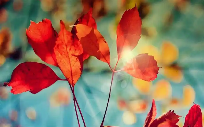 1/ 5) 2016-11-21 10:10:00 壁纸尺寸是山水风光巍峨高清电脑桌面壁纸