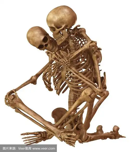 男人和女人的骷髅,摆着恋人的姿势.孤立在白色背景的3d插图